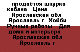 продаётся шкурка кабана › Цена ­ 25 000 - Ярославская обл., Ярославль г. Хобби. Ручные работы » Для дома и интерьера   . Ярославская обл.,Ярославль г.